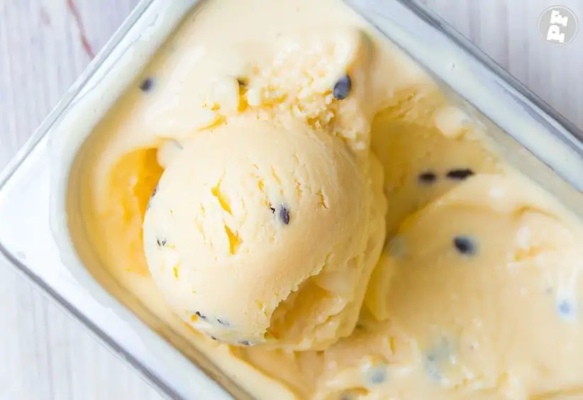 8 Homemade Ice Cream Recipe to Sell: Industrial Type 