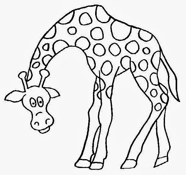 Desenhos De Animais Para Colorir E Imprimir Imagens