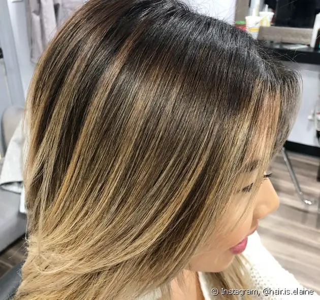 Morena iluminada cabelo liso do insta