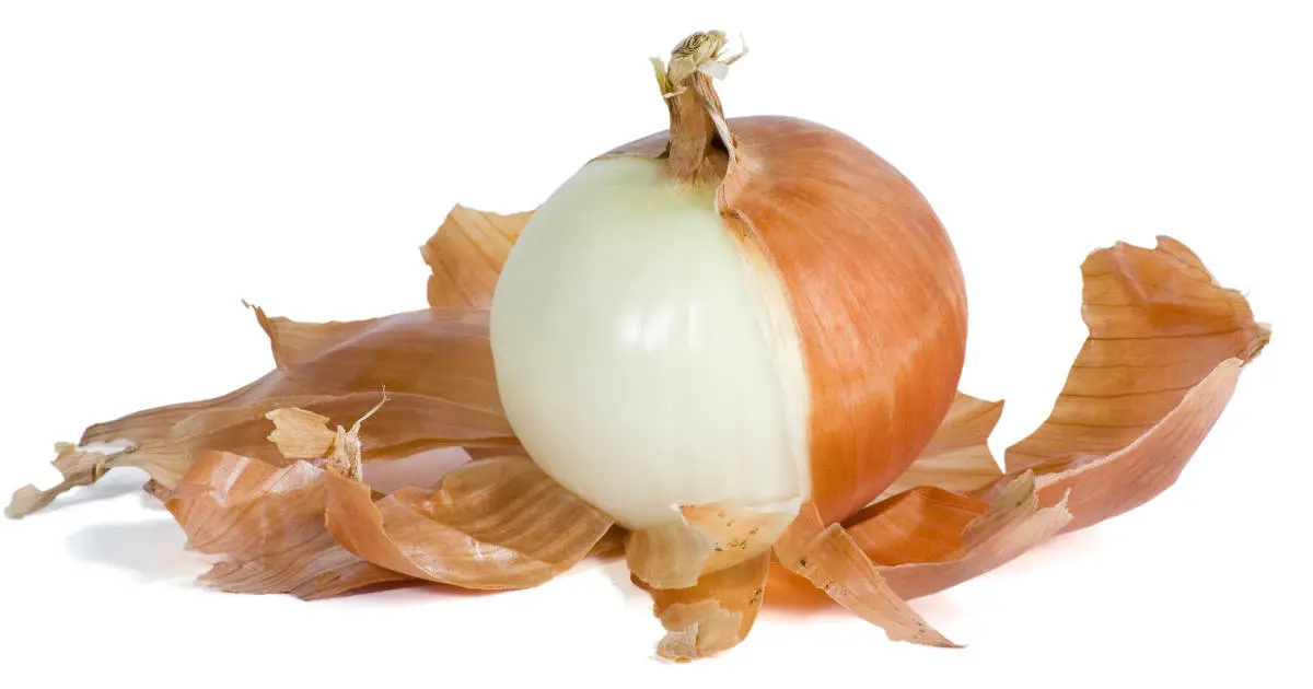 Amazing Health Benefits of Onion Peel