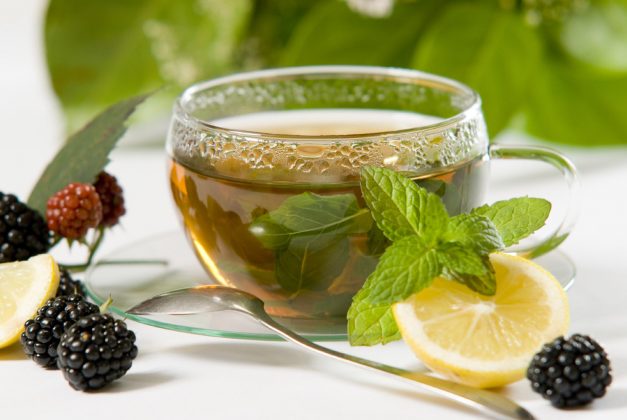 Chá de folhas de amora – Quais são seus Benefícios