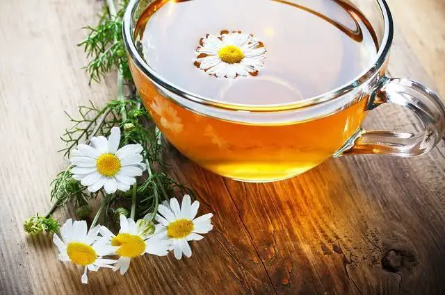 Best Teas to Relieve Headaches