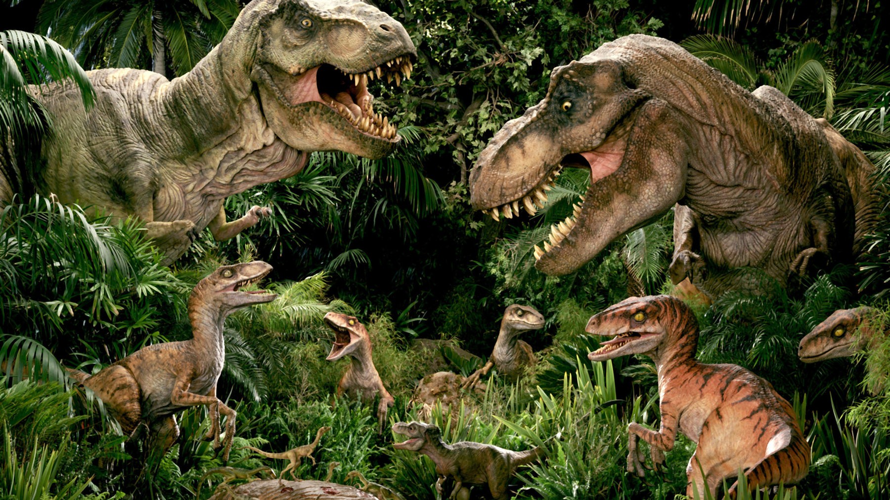 Dinossauros Lista dos Carnívoros aos Herbívoros: Fotos
