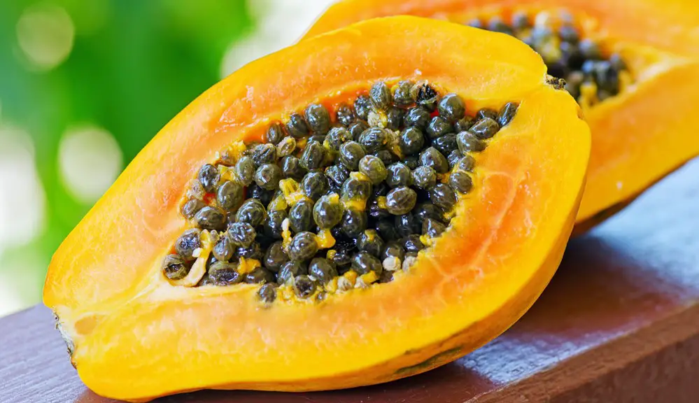 Hair Hydration with Papaya: Benefits and Step by Step 