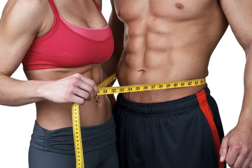 Measures for a Perfect Body: Female and Male
