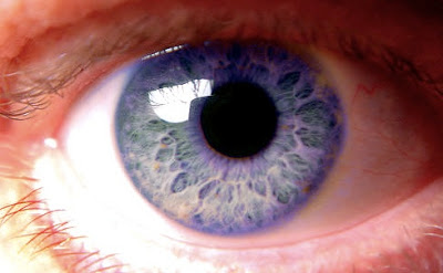 olhos violeta
